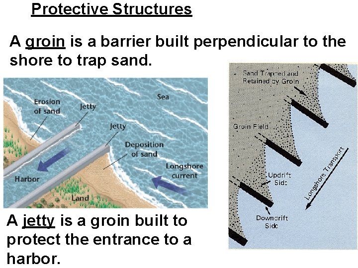 Protective Structures A groin is a barrier built perpendicular to the shore to trap
