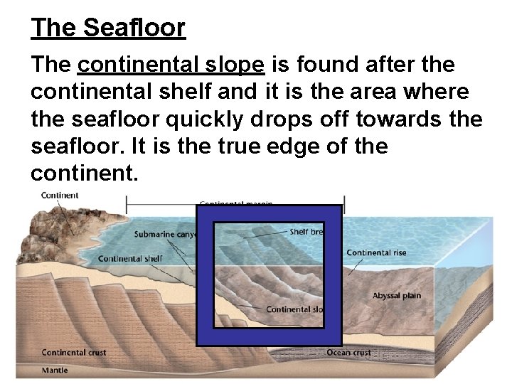 The Seafloor The continental slope is found after the continental shelf and it is