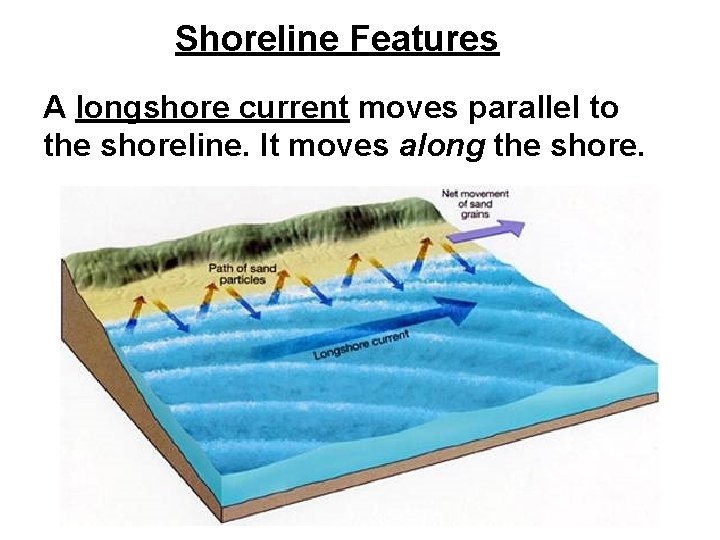 Shoreline Features A longshore current moves parallel to the shoreline. It moves along the