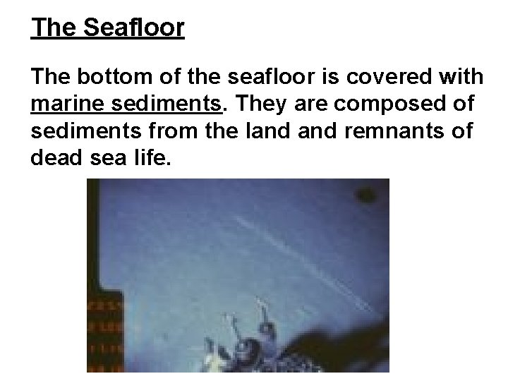 The Seafloor The bottom of the seafloor is covered with marine sediments. They are