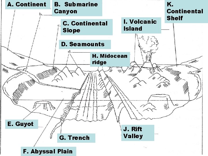 A. Continent B. Submarine Canyon C. Continental Slope I. Volcanic Island D. Seamounts H.
