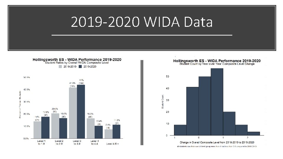 2019 -2020 WIDA Data 