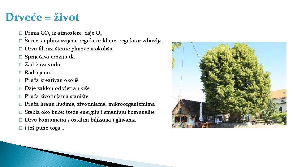 Drveće = život � � � � Prima CO 2 iz atmosfere, daje O
