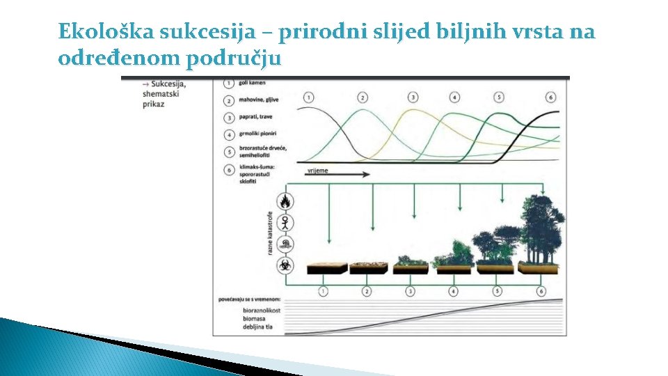 Ekološka sukcesija – prirodni slijed biljnih vrsta na određenom području 