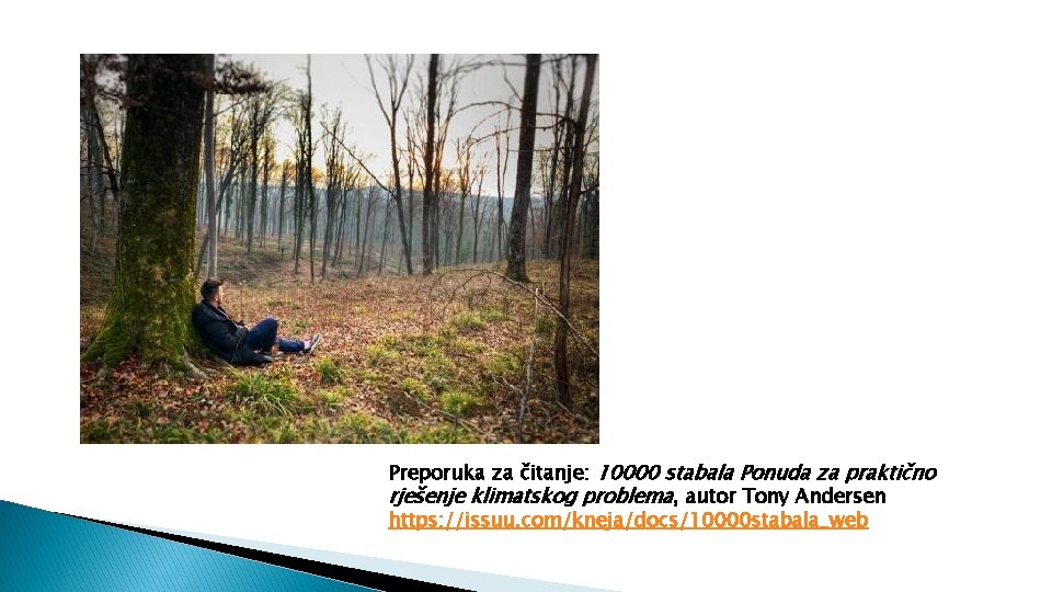 Preporuka za čitanje: 10000 stabala Ponuda za praktično rješenje klimatskog problema, autor Tony Andersen