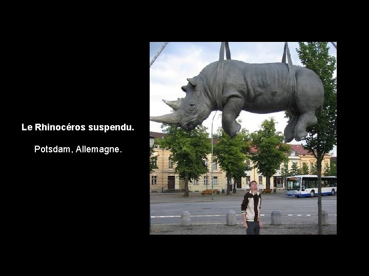 Le Rhinocéros suspendu. Potsdam, Allemagne. 