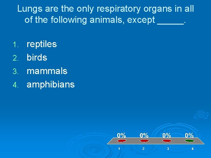 Lungs are the only respiratory organs in all of the following animals, except _____.