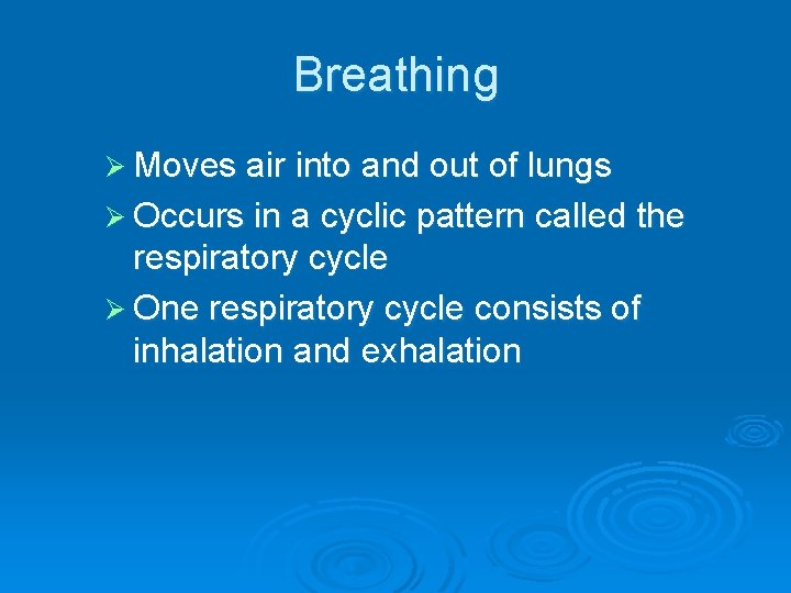 Breathing Ø Moves air into and out of lungs Ø Occurs in a cyclic