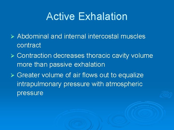 Active Exhalation Ø Abdominal and internal intercostal muscles contract Ø Contraction decreases thoracic cavity