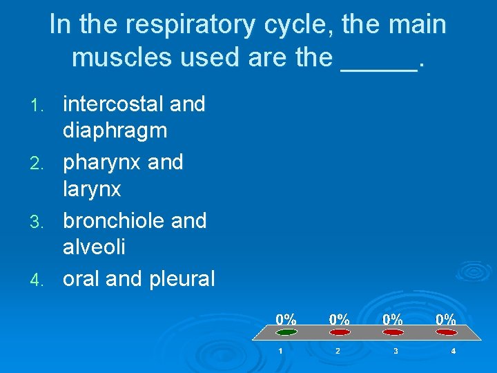 In the respiratory cycle, the main muscles used are the _____. intercostal and diaphragm
