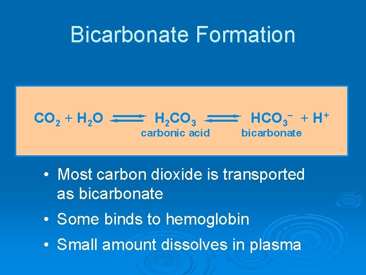 Bicarbonate Formation CO 2 + H 2 O H 2 CO 3 carbonic acid