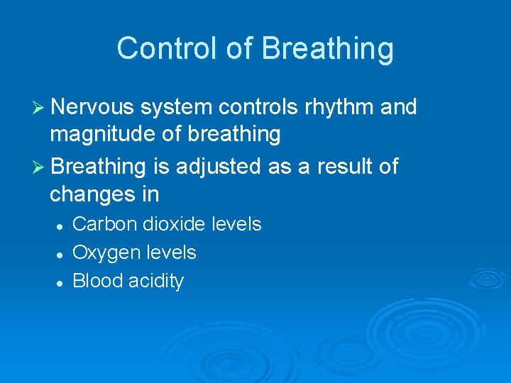 Control of Breathing Ø Nervous system controls rhythm and magnitude of breathing Ø Breathing