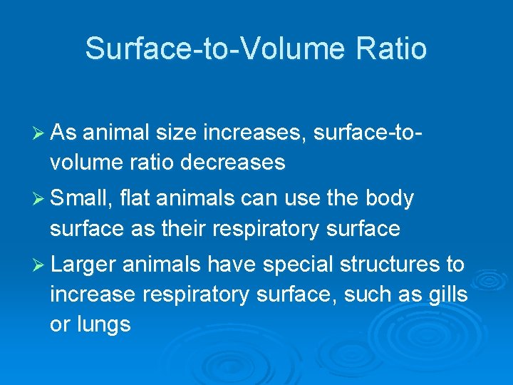 Surface-to-Volume Ratio Ø As animal size increases, surface-to- volume ratio decreases Ø Small, flat