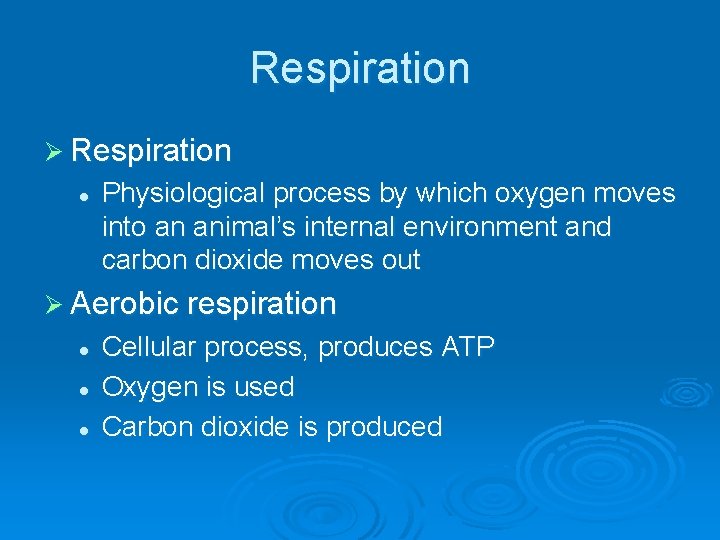Respiration Ø Respiration l Physiological process by which oxygen moves into an animal’s internal