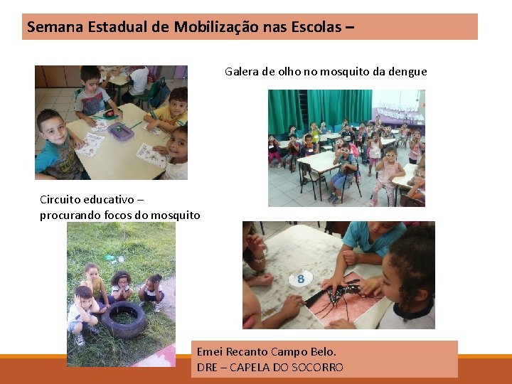 Semana Estadual de Mobilização nas Escolas – Galera de olho no mosquito da dengue