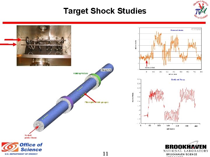 Target Shock Studies 11 BROOKHAVEN SCIENCE 