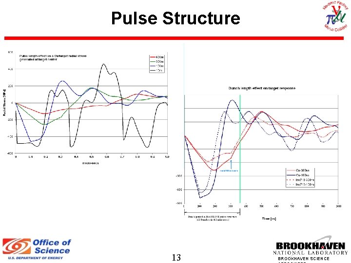 Pulse Structure 13 BROOKHAVEN SCIENCE 