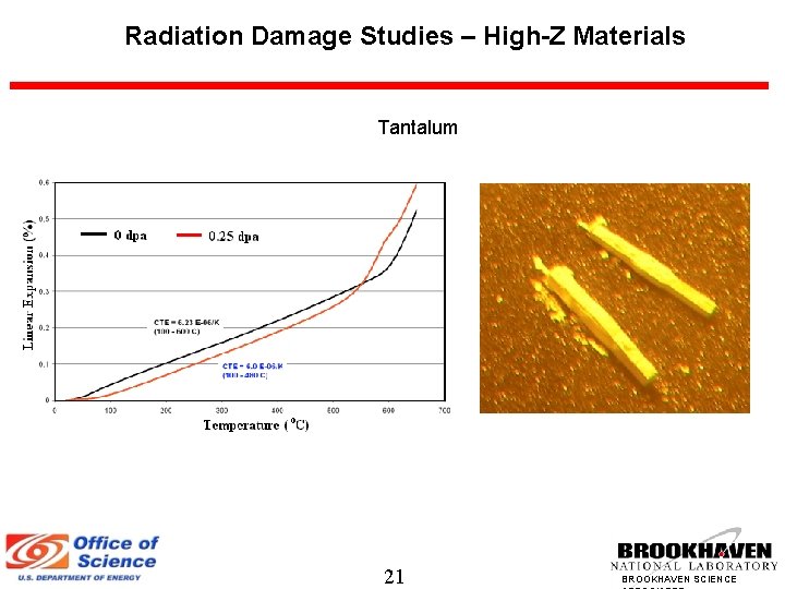 Radiation Damage Studies – High-Z Materials Tantalum 21 BROOKHAVEN SCIENCE 