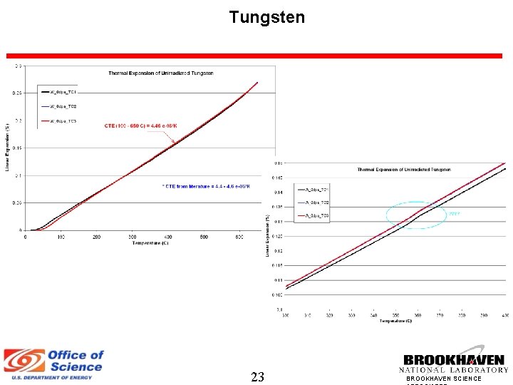 Tungsten 23 BROOKHAVEN SCIENCE 