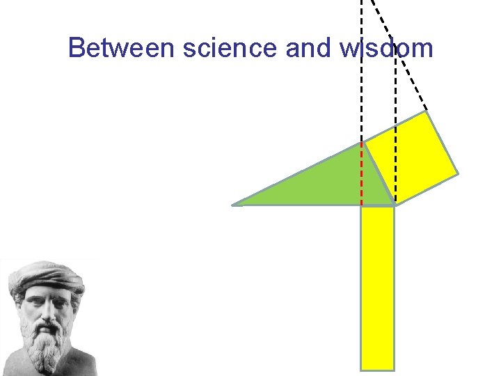 Between science and wisdom 
