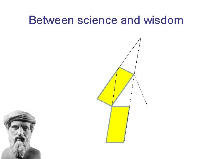 Between science and wisdom 