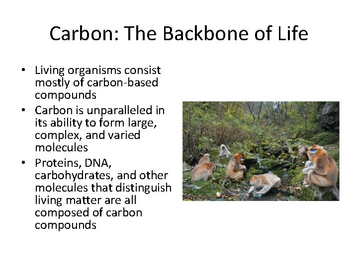 Carbon: The Backbone of Life • Living organisms consist mostly of carbon-based compounds •