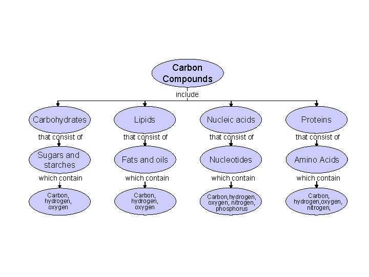 Section 2 -3 Carbon Compounds include Carbohydrates Lipids Nucleic acids Proteins that consist of