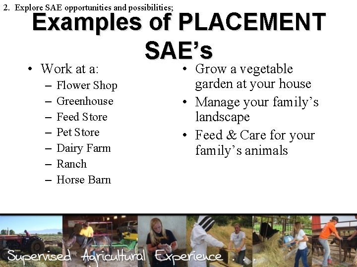 2. Explore SAE opportunities and possibilities; Examples of PLACEMENT SAE’s • Work at a: