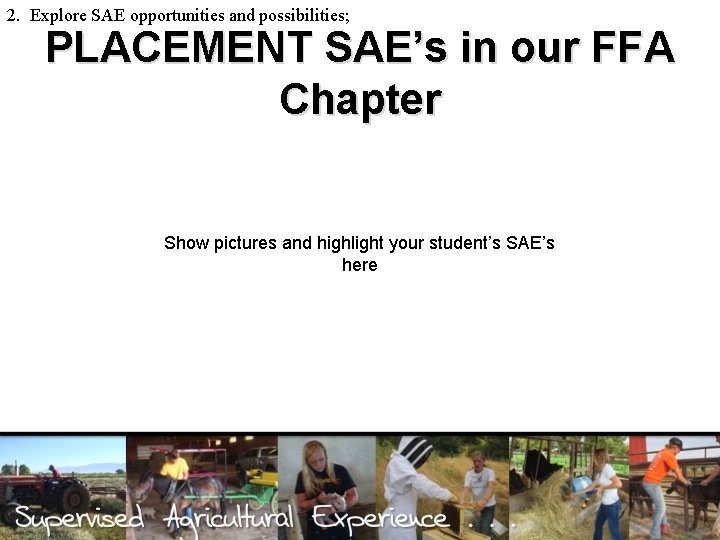 2. Explore SAE opportunities and possibilities; PLACEMENT SAE’s in our FFA Chapter Show pictures