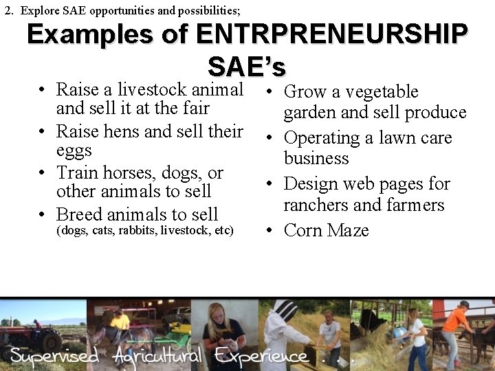 2. Explore SAE opportunities and possibilities; Examples of ENTRPRENEURSHIP SAE’s • Raise a livestock