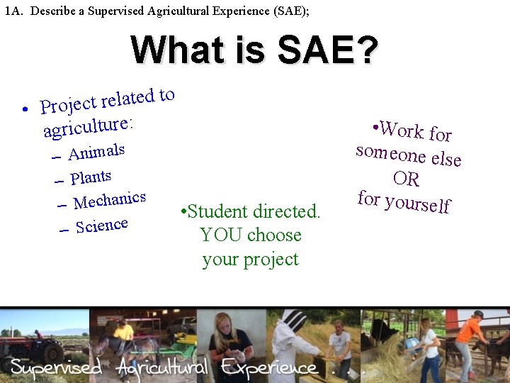 1 A. Describe a Supervised Agricultural Experience (SAE); What is SAE? o t d