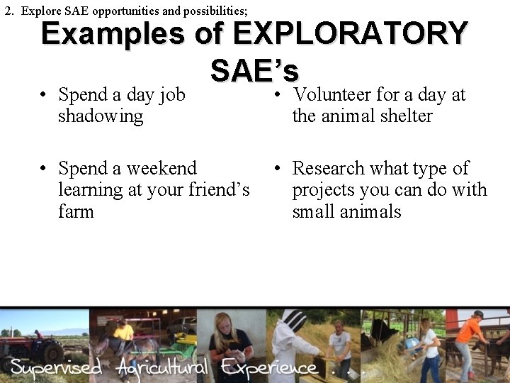 2. Explore SAE opportunities and possibilities; Examples of EXPLORATORY SAE’s • Spend a day