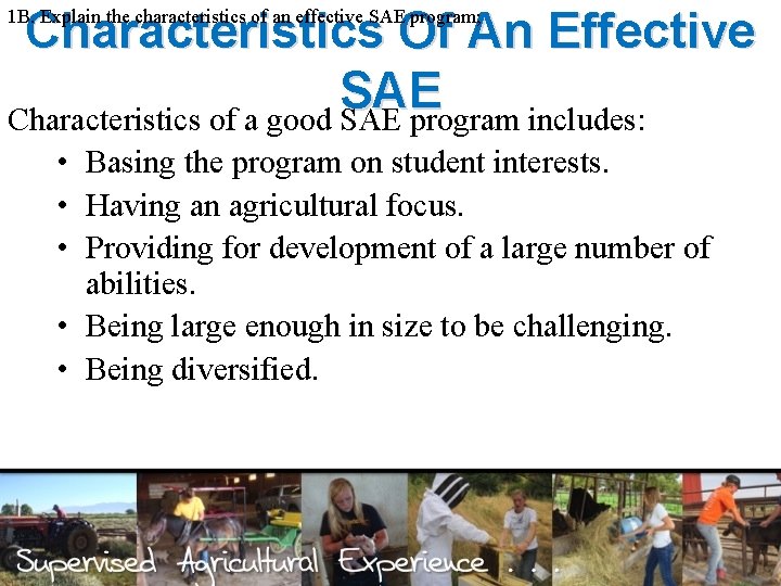 Characteristics Of An Effective SAE Characteristics of a good SAE program includes: 1 B.