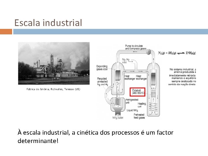 Escala industrial À escala industrial, a cinética dos processos é um factor determinante! 