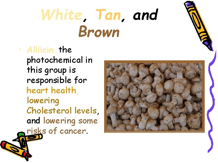 White, Tan, and Brown • Alliicin, the photochemical in this group is responsible for