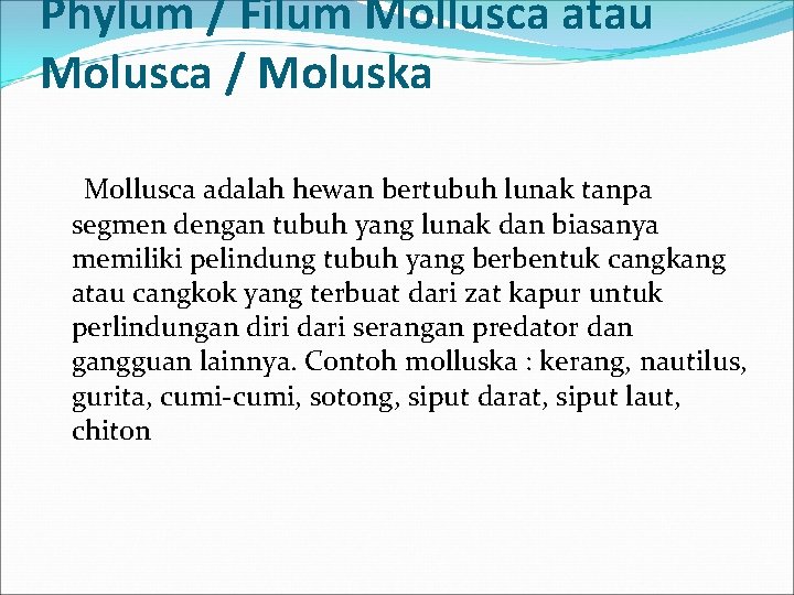 Phylum / Filum Mollusca atau Molusca / Moluska Mollusca adalah hewan bertubuh lunak tanpa