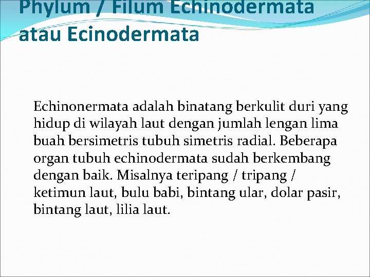 Phylum / Filum Echinodermata atau Ecinodermata Echinonermata adalah binatang berkulit duri yang hidup di