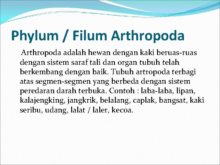 Phylum / Filum Arthropoda adalah hewan dengan kaki beruas-ruas dengan sistem saraf tali dan