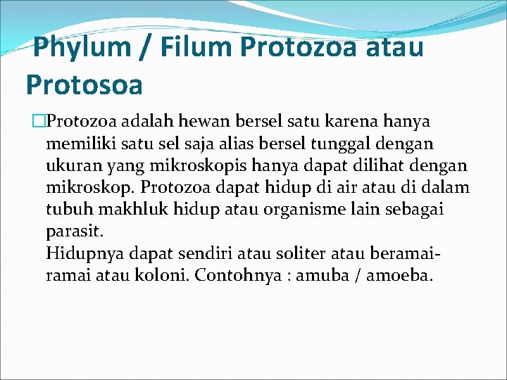 Phylum / Filum Protozoa atau Protosoa �Protozoa adalah hewan bersel satu karena hanya memiliki