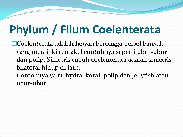 Phylum / Filum Coelenterata �Coelenterata adalah hewan berongga bersel banyak yang memiliki tentakel contohnya