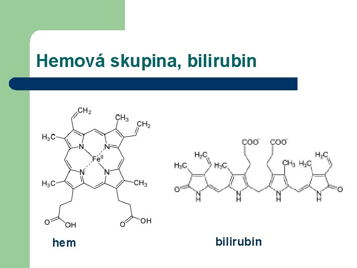 Hemová skupina, bilirubin hem bilirubin 