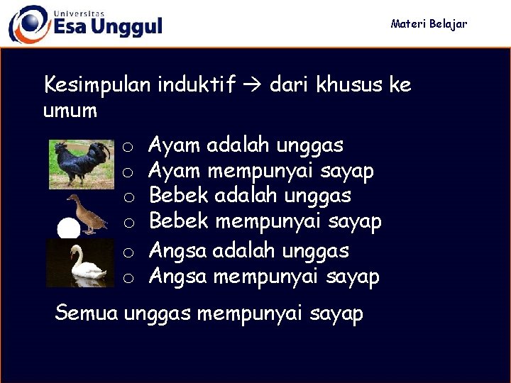 Materi Belajar Kesimpulan induktif dari khusus ke umum o o o Ayam adalah unggas