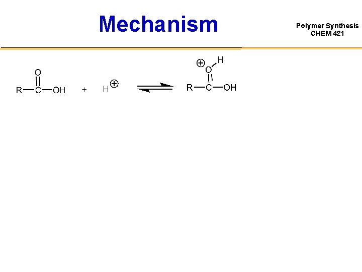 Mechanism Polymer Synthesis CHEM 421 