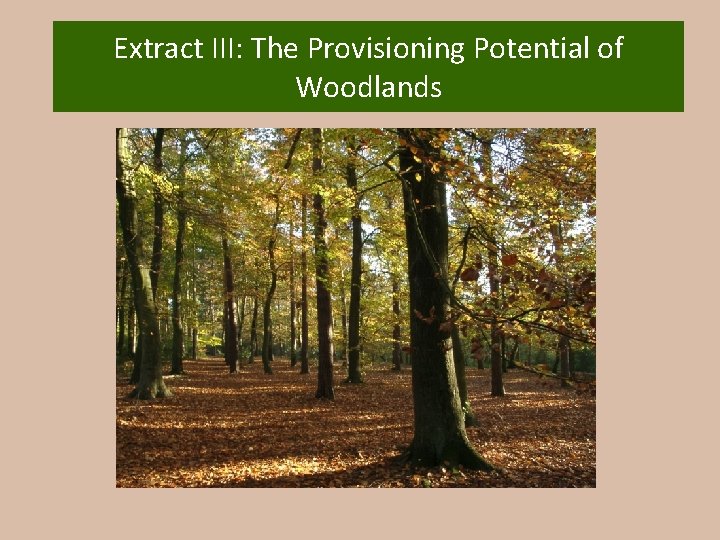 Extract III: The Provisioning Potential of Woodlands 