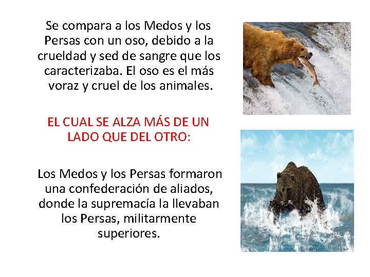 Se compara a los Medos y los Persas con un oso, debido a la Se compara a los Medos y los Persas con un oso, debido a la
