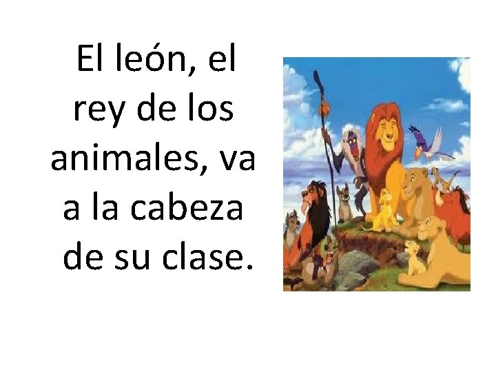 El león, el rey de los animales, va a la cabeza de su clase. El león, el rey de los animales, va a la cabeza de su clase.