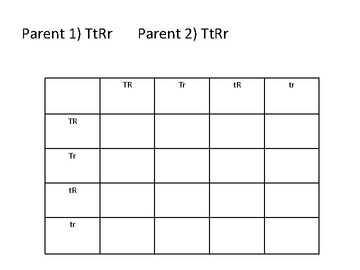 Parent 1) Tt. Rr Parent 2) Tt. Rr TR TR Tr t. R tr