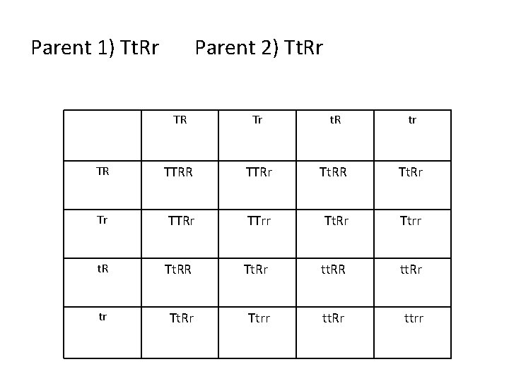 Parent 1) Tt. Rr Parent 2) Tt. Rr TR Tr t. R tr TR