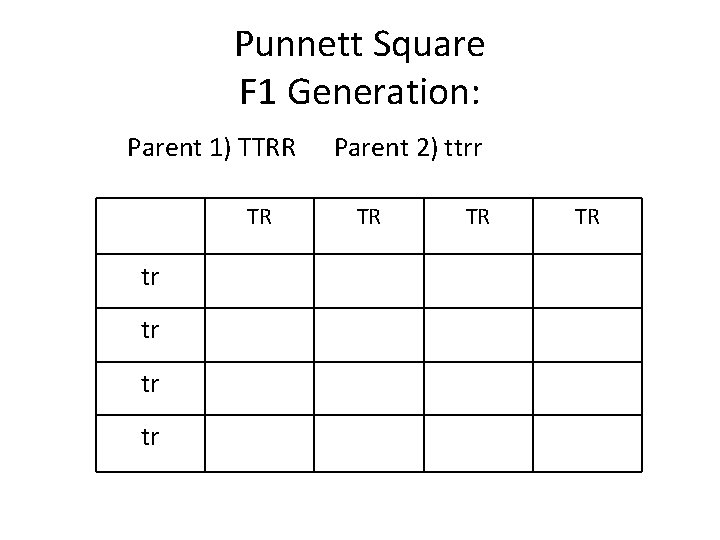 Punnett Square F 1 Generation: Parent 1) TTRR TR tr tr Parent 2) ttrr