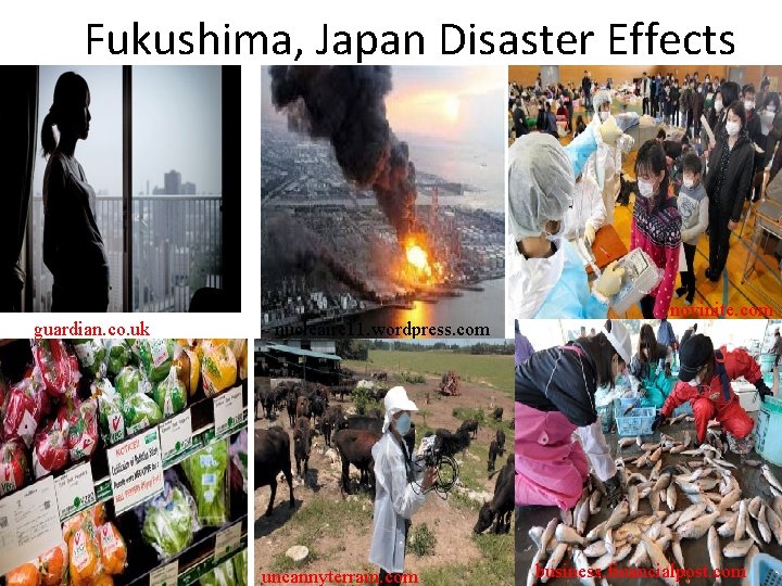 Fukushima, Japan Disaster Effects guardian. co. uk nucleaire 11. wordpress. com uncannyterrain. com novinite.